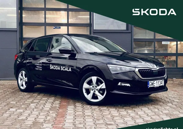 pomorskie Skoda Scala cena 99900 przebieg: 6, rok produkcji 2023 z Mikołów